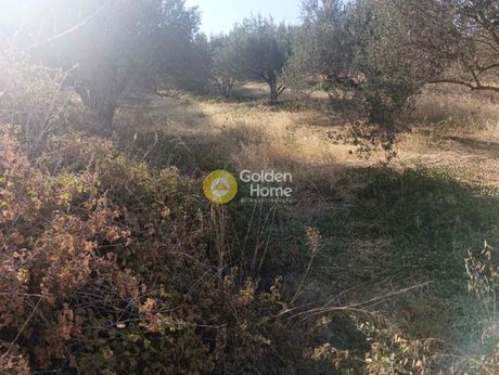 Οικόπεδο 8.000τ.μ. για πώληση-Ηράκλειο κρήτης » Βασιλείες