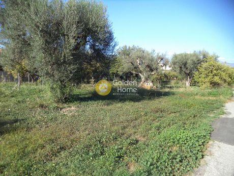 Αγροτεμάχια 950τ.μ. για πώληση-Αιγιάλεια » Σελιανίτικα