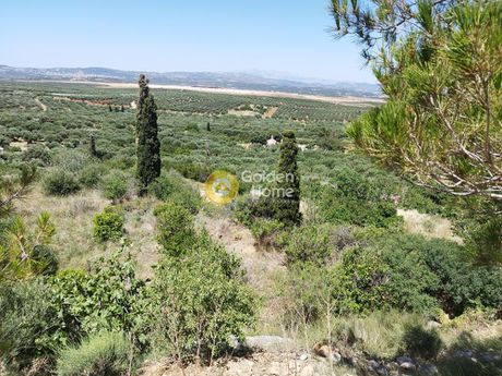 Οικόπεδο 859τ.μ. για πώληση-Καστέλλι » Αγία παρασκευή