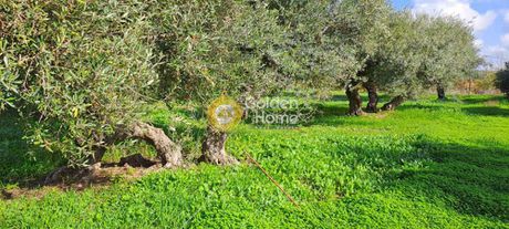 Parcel 1.530sqm for sale-Gouves » Agios Ioannis