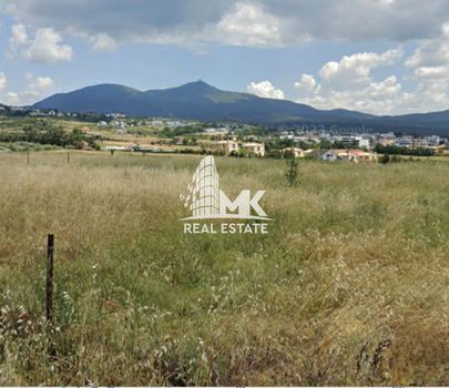Αγροτεμάχια 4.139 τ.μ. για πώληση