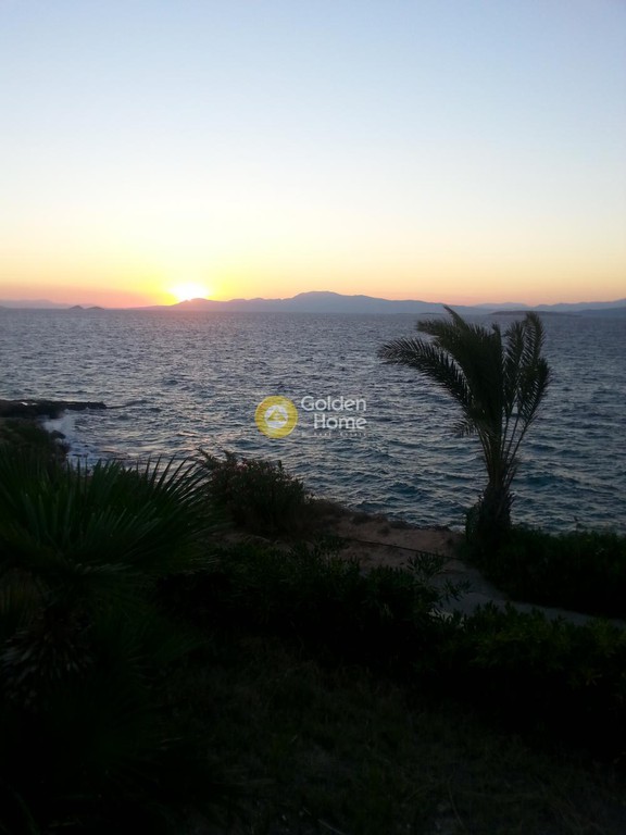 Οικόπεδο 3.800 τ.μ. προς πώληση, Θερμά Αίγινας