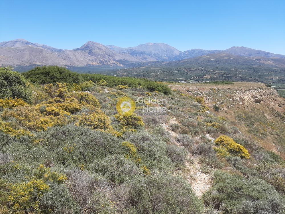 Αγροτεμάχια 12.000 τ.μ. προς πώληση, Αυλή Αρκαλοχωρίου