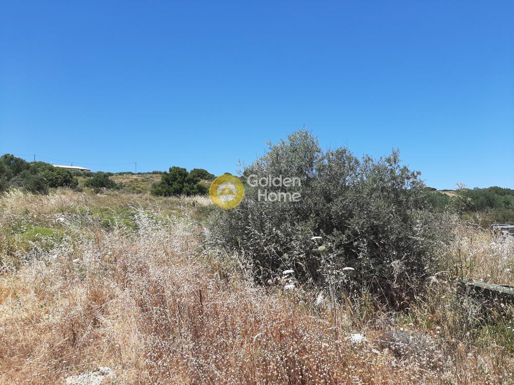 Αγροτεμάχια 12.000 τ.μ. προς πώληση, Αυλή Αρκαλοχωρίου