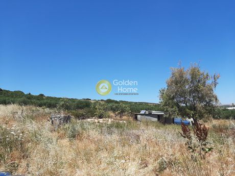 Αγροτεμάχια 12.000τ.μ. για πώληση-Αρκαλοχώρι » Αυλή