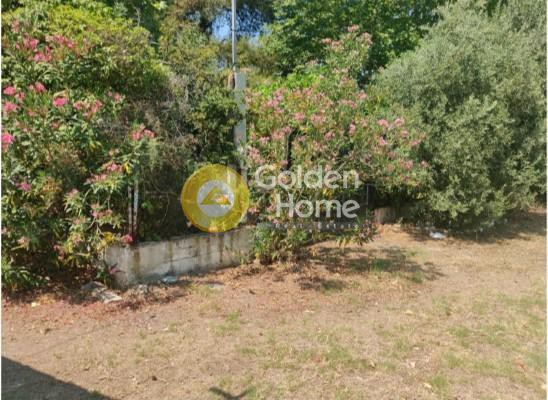 Οικόπεδο 831 τ.μ. προς πώληση, Λιμνιώνας Καλάμου
