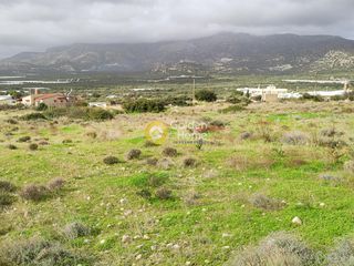 Οικόπεδο 12.500 τ.μ. για πώληση