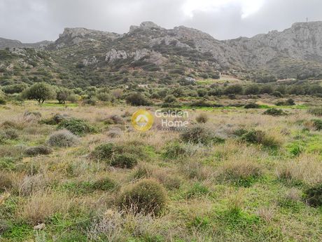 Land plot 12.500sqm for sale-Ierapetra » Kato Chorio