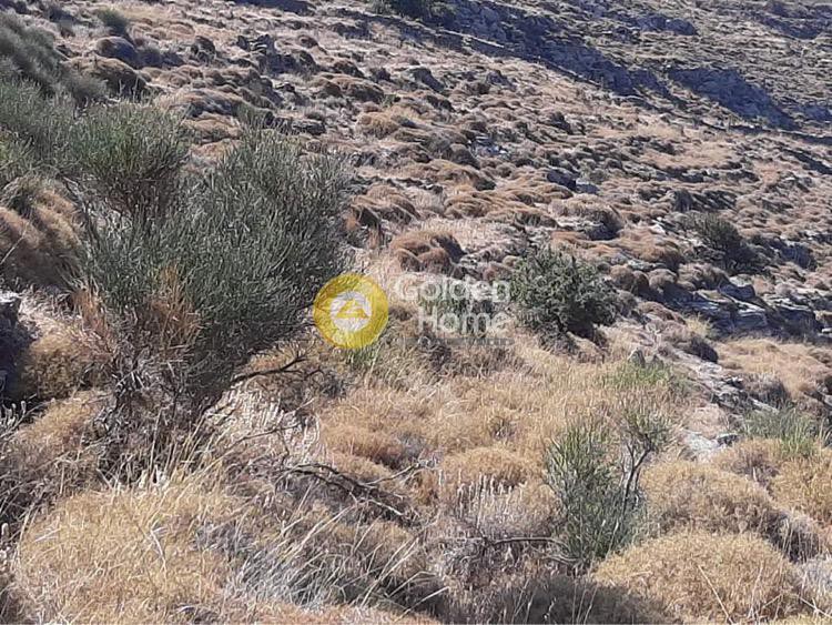 Οικόπεδο 27.000 τ.μ. προς πώληση, Αγία Μαρίνα Κέας