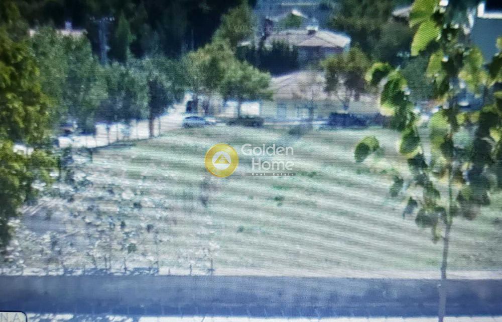Οικόπεδο 777 τ.μ. προς πώληση, Ζώνη Χονδρεμπορίου Κρυονερίου