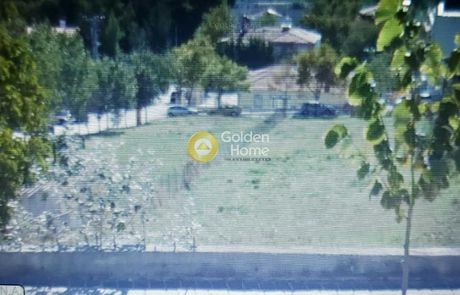 Land plot 777sqm for sale-Krioneri » Zoni Chondreboriou