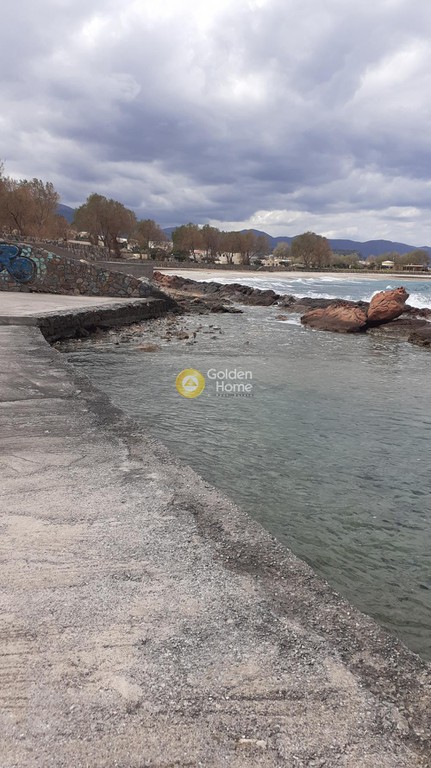 Μονοκατοικία 6.000 τ.μ. πρός πώληση, Ν. Λασιθίου, Βραχάσι