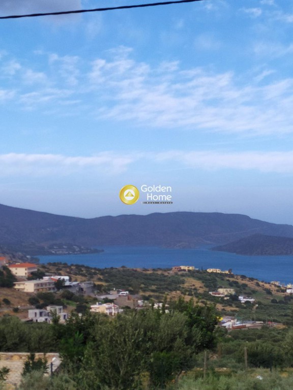 Αγροτεμάχια 2.500 τ.μ. προς πώληση, Μαυρικιανό
