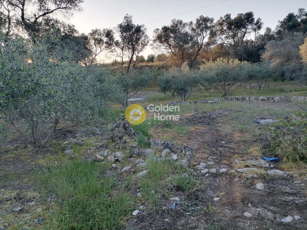 Οικόπεδο 1.800 τ.μ. προς πώληση, Φανερωμένη Τυμπακίου
