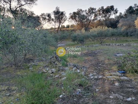 Οικόπεδο 1.800τ.μ. για πώληση-Τυμπάκι » Φανερωμένη