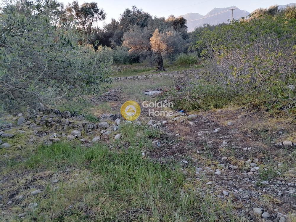 Οικόπεδο 1.800 τ.μ. προς πώληση, Φανερωμένη Τυμπακίου