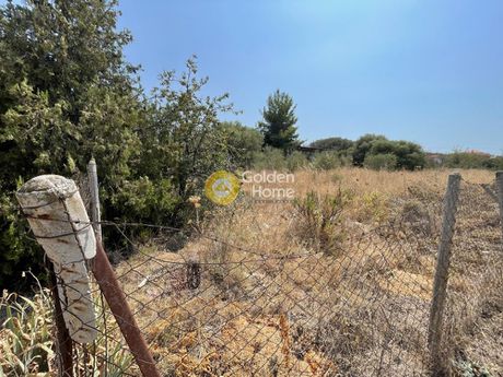 Parcel 3.000sqm for sale-Moudania » Nea Potidaia