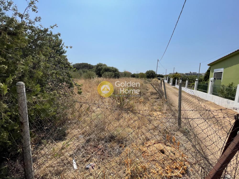 Αγροτεμάχια 3.000 τ.μ. προς πώληση, Νέα Ποτίδαια