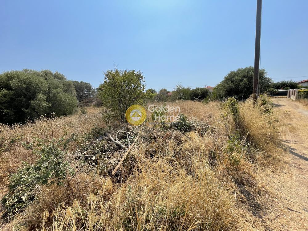 Αγροτεμάχια 3.000 τ.μ. προς πώληση, Νέα Ποτίδαια