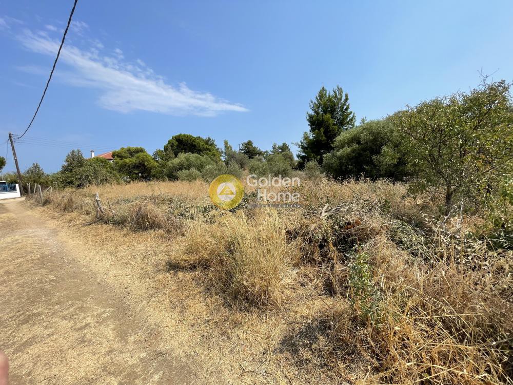 Αγροτεμάχια 3.000 τ.μ. προς πώληση, Νέα Ποτίδαια