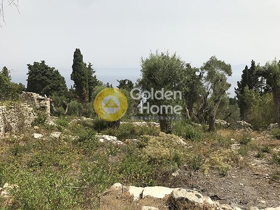 Οικόπεδο 6.700 τ.μ. προς πώληση, Γεωργουτσάτικα