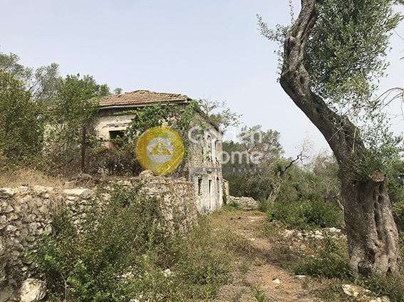 Οικόπεδο 6.700 τ.μ. προς πώληση, Γεωργουτσάτικα