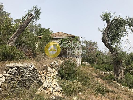Οικόπεδο 6.700 τ.μ. προς πώληση, Γεωργουτσάτικα