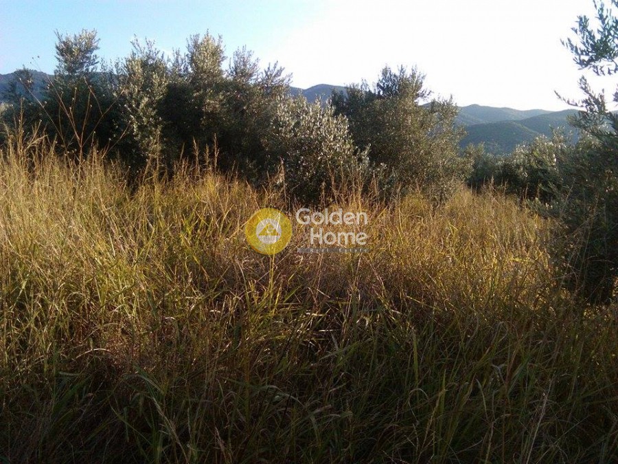Οικόπεδο 3.500 τ.μ. προς πώληση, Κέντρο Ωρεών
