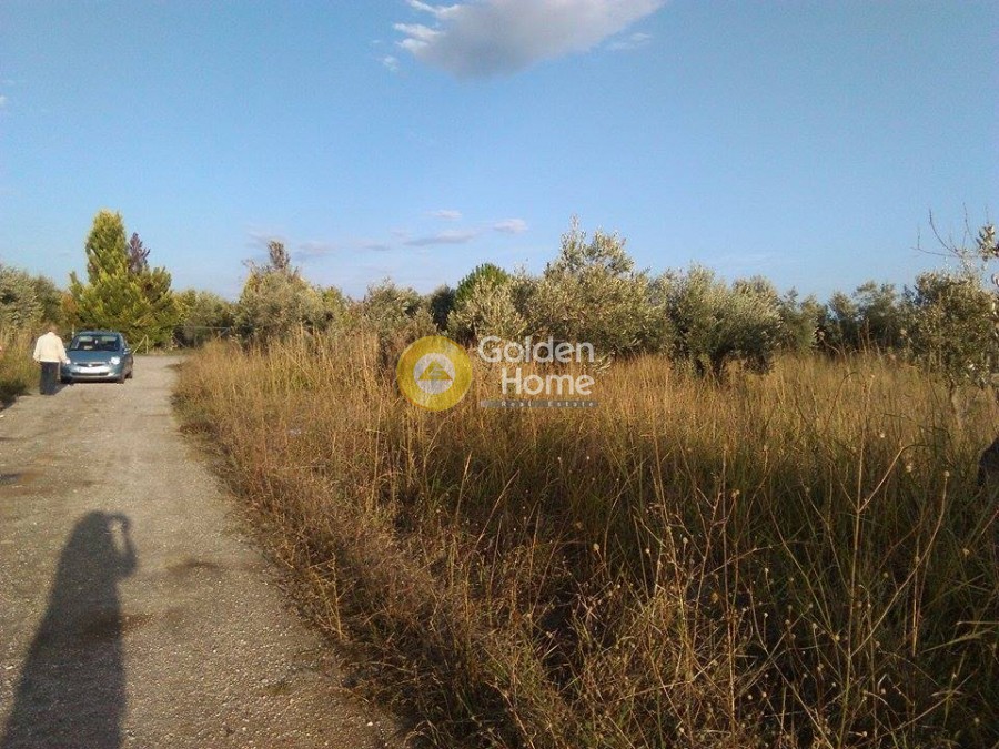 Οικόπεδο 3.500 τ.μ. προς πώληση, Κέντρο Ωρεών