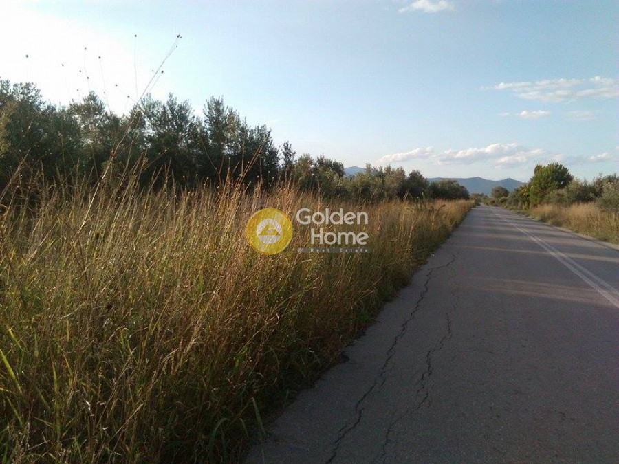 Οικόπεδο 3.500 τ.μ. προς πώληση, Κέντρο Ωρεών