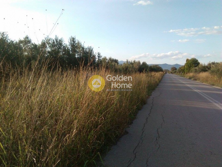 Οικόπεδο 3.500 τ.μ. προς πώληση, Κέντρο Ωρεών