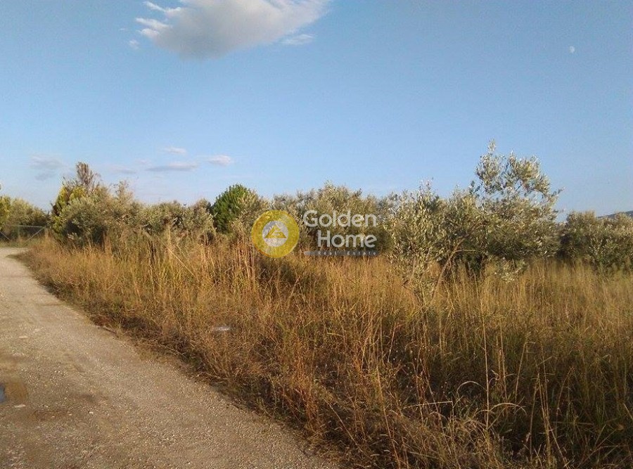 Οικόπεδο 3.500 τ.μ. προς πώληση, Κέντρο Ωρεών