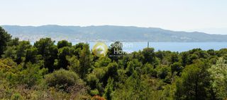 Οικόπεδο 146.000 τ.μ. προς πώληση, Κόστα-thumb-17