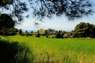 Οικόπεδο 146.000 τ.μ. προς πώληση, Κόστα-thumb-22