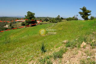 Οικόπεδο 146.000 τ.μ. προς πώληση, Κόστα-thumb-6