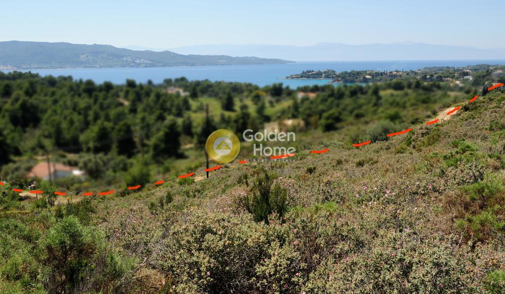 Οικόπεδο 146.000 τ.μ. προς πώληση, Κόστα