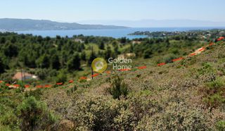 Οικόπεδο 146.000 τ.μ. προς πώληση, Κόστα-thumb-1