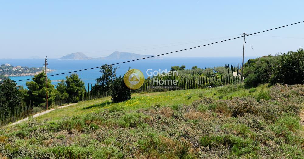 Οικόπεδο 146.000 τ.μ. προς πώληση, Κόστα
