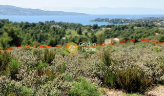 Οικόπεδο 146.000 τ.μ. προς πώληση, Κόστα-thumb-3