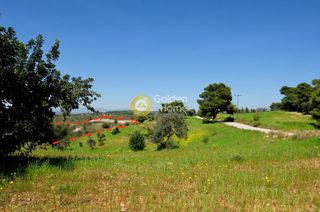 Οικόπεδο 146.000 τ.μ. προς πώληση, Κόστα-thumb-15