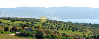 Οικόπεδο 146.000 τ.μ. προς πώληση, Κόστα-thumb-8