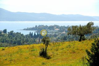 Οικόπεδο 146.000 τ.μ. για πώληση