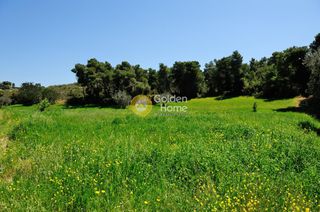 Οικόπεδο 146.000 τ.μ. προς πώληση, Κόστα-thumb-7