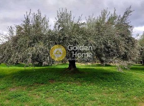 Land plot 600sqm for sale-Moires » Pigaidakia