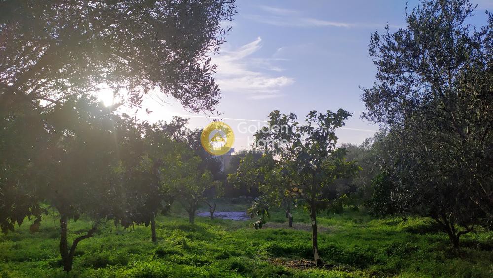 Οικόπεδο 1.220 τ.μ. πρός πώληση, Ν. Ρεθύμνου, Γεροπόταμος