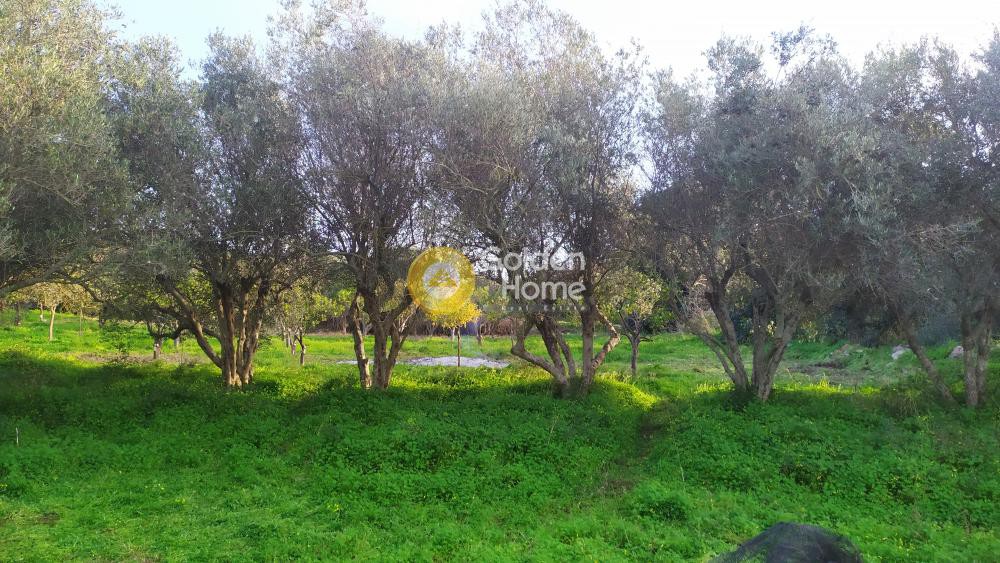 Οικόπεδο 1.220 τ.μ. πρός πώληση, Ν. Ρεθύμνου, Γεροπόταμος