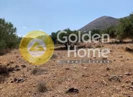 Parcel 1.681sqm for sale-Agios Nikolaos » Kato Pines
