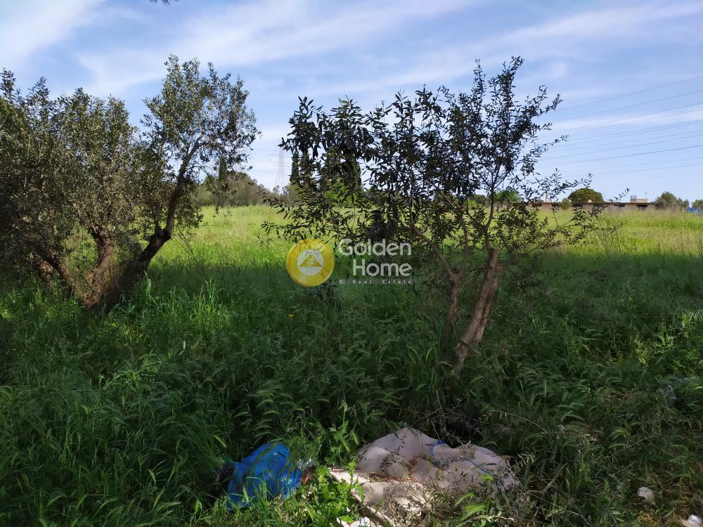 Οικόπεδο 9.000 τ.μ. προς πώληση, Φασιδέρη