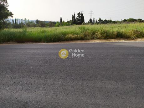 Land plot 9.000sqm for sale-Anoixi » Fasideri