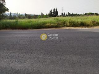 Οικόπεδο 9.000 τ.μ. για πώληση